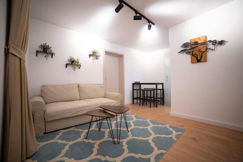 Coban Residence Apartments Braşov Extérieur photo